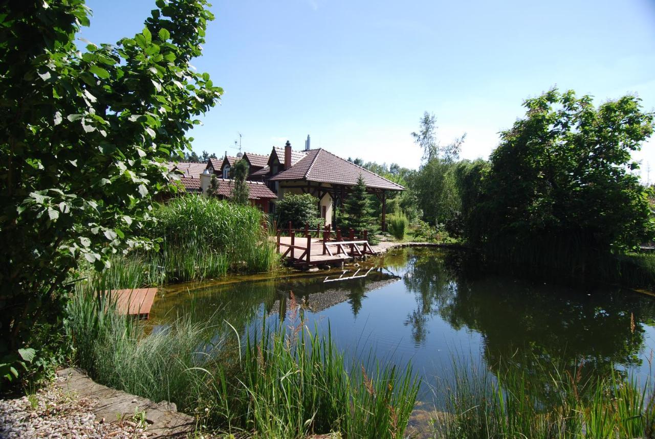 Ivanek Guest House Zvíkovské Podhradí Exteriér fotografie