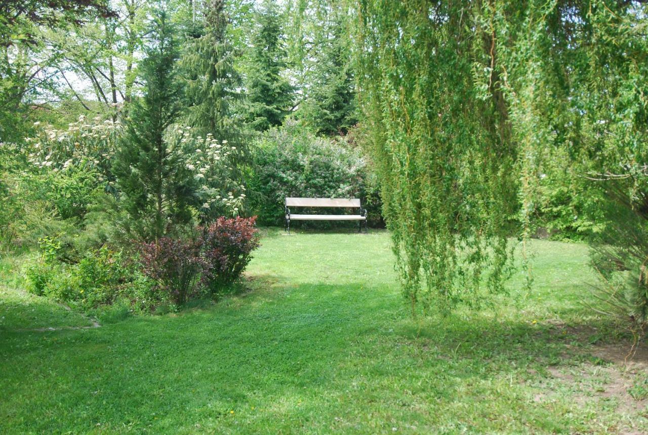Ivanek Guest House Zvíkovské Podhradí Exteriér fotografie